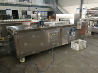 Machine de tri par piqûres de dattes rouges Machine à dénoyauter les fruits secs Machine à laver les dates de séchage Ligne de production de pâte à poudre