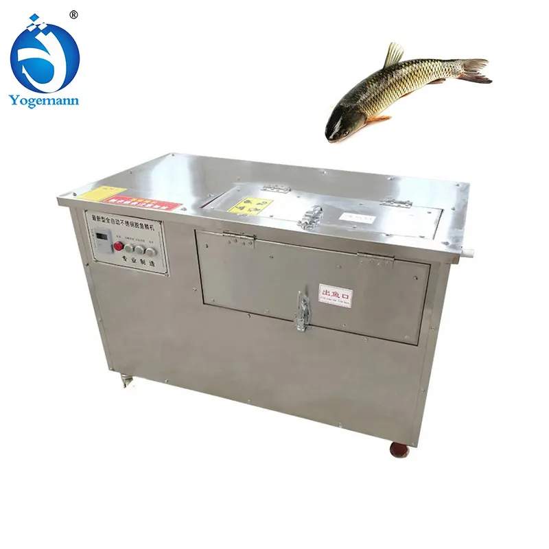 Removedor de escala de peixe, máquina para processamento de salmão tilapia