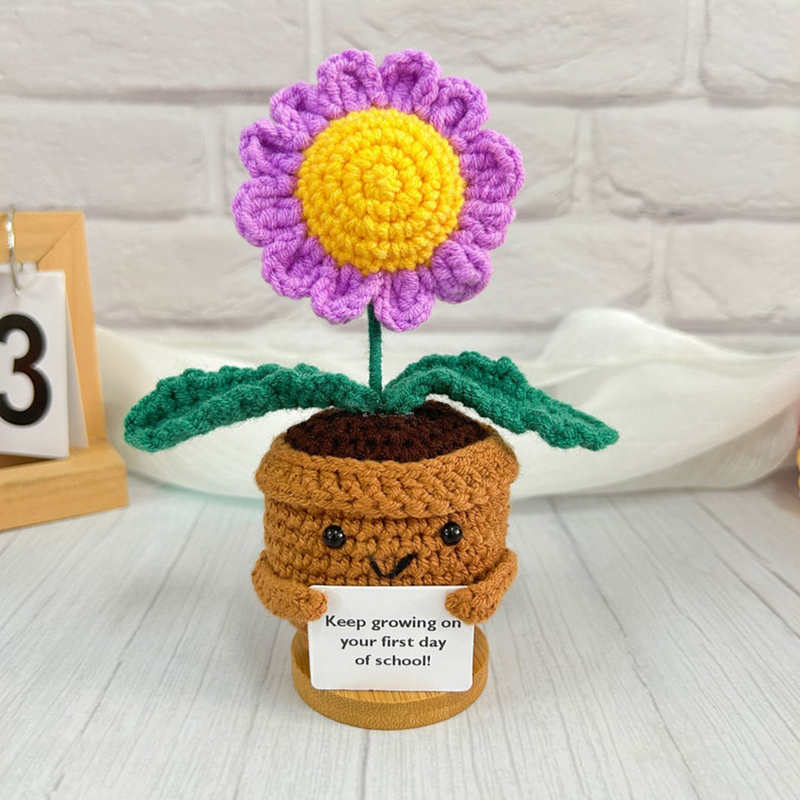 plante de marguerites violettes (sans base)