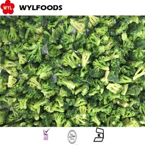 Légumes frais de tige de brocoli congelés IQF légumes blanchis et transformés - Product Image 5