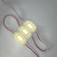 Module LED Mini Haute Luminosité IP65 Étanche DC12 SMD 3014 3 Puces CE Rohs pour Signalisation Extérieure et Petites Lettres de Canal
