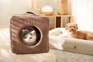 Tragbares Haustier haus mit Griff Bequemes Bett für Zuhause und Reisen - Product Image 4