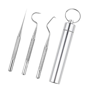 304 Stainless Steel Toothpick Set 3 Pieces Portable Oral Cleaning Tools - Product Image 3