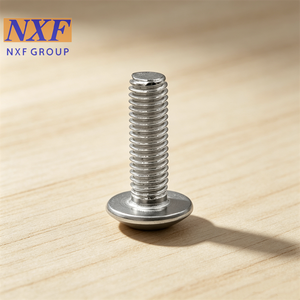 NXF UNS S316/DIN1.4401/AISI 316/0Cr17Ni12Mo2 M2-M30等级8-12.9直径M3-20盘头内六角螺栓 - Product Image 2
