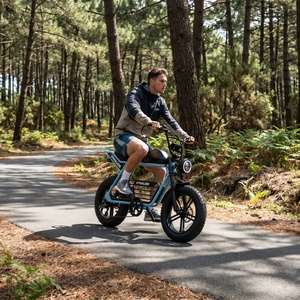 Vélo électrique urbain à charge rapide avec <span class=keywords><strong>porte</strong></span>-bagages arrière, vélo électrique robuste à pneus larges pour les trajets sur le campus - Product Image 6