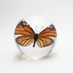 Bola de resina para homens, verdadeiro peso de inseto, borboleta, tacidermy real, borboletas, bola de resina 80*75mm