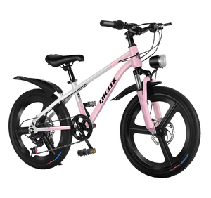 Bicicleta de Montaña para Niños Popular de 18/20/22 Pulgadas, Económica, de Acero con Alto Contenido de Carbono, con Frenos de Disco, Asiento Ajustable y Suspensión Delantera - Product Image 1
