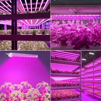 Spectre complet LED élèvent la lumière blanc chaud 1FT ~ 8FT 5000K 6500K Linkable T8 Tube pour l'agriculture intérieure jardin plante serre