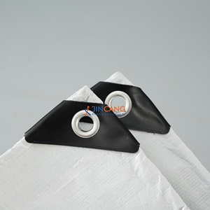 Bâche en PE imperméable et résistante pour jardin, extérieur, camion, bateau, niche pour animaux, maison, <span class=keywords><strong>voiture</strong></span> - Product Image 4