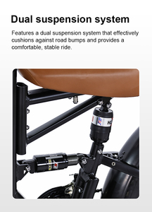 <span class=keywords><strong>Vélo</strong></span> <span class=keywords><strong>cargo</strong></span> <span class=keywords><strong>électrique</strong></span> rétro pour familles, vente directe d'usine, tricycle <span class=keywords><strong>électrique</strong></span> pour 1 personne, 500w 750w, vélos <span class=keywords><strong>cargo</strong></span> <span class=keywords><strong>électrique</strong></span>s - Product Image 4