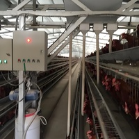 Cage à poules pondeuses de type A pour élevage avicole commercial