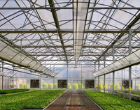 Serre Multispan agricole commerciale à faible coût avec système hydroponique de qualité supérieure rentable à vendre
