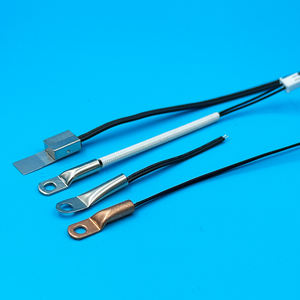 Temperatursensor mit M4-Loch (10K 3950) - Spezielle Sonde für Industrielle Temperaturkontrollgeräte - Product Image 1