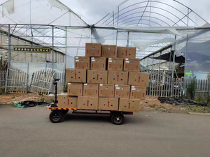 Transporteur à plat électrique transpalette à commande électrique avec quatre roues plates - Product Image 2