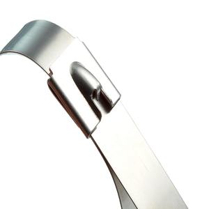 Collier de serrage auto-bloquant en <span class=keywords><strong>acier</strong></span> inoxydable résistant à la corrosion pour poteau de télécommunications, à extrémité libre, 12 mm x 100 mm - Product Image 1