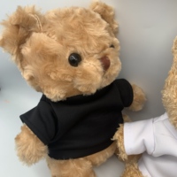 Jouets Songshan 2026 Nouveauté Peluche personnalisée avec logo Vêtements Transfert thermique Cadeaux de Noël 20cm Ours en peluche assis