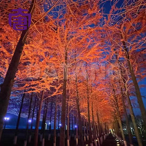 ไฟพาร์ LED สีผสม RGBW 4-in-1 ความสว่างสูง 36 ดวง 3w สำหรับงานเวที รายการทีวี แสงสีขาว - Product Image 2