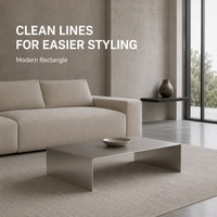Table basse KINNO en acier inoxydable 304, 80x50x30cm, rectangulaire, finition brossée sablée, pour salon moderne, OEM ODM
