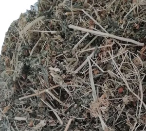 Herbe naturelle brute de Rue (Ruta graveolens) séchée, tiges et feuilles, Rue de jardin pour tisane - Product Image 2