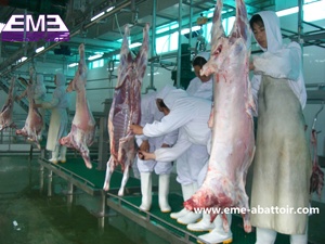 Gancho <span class=keywords><strong>de</strong></span> Polea para Riel <span class=keywords><strong>de</strong></span> Carcasa <span class=keywords><strong>de</strong></span> Ganado, <span class=keywords><strong>de</strong></span> Acero Inoxidable, Pequeño, para Mataderos, Equipo <span class=keywords><strong>de</strong></span> Carnicería, Mejor <span class=keywords><strong>Precio</strong></span> - Product Image 6