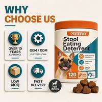 Vente en gros de friandises à mâcher pour chiens, soutien digestif, probiotiques, prébiotiques, complément alimentaire pour la santé intestinale des chiots, chiens adultes et chiens âgés, OEM