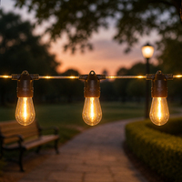 Guirlande lumineuse LED S14 de 10 m avec 20 ampoules, fil en caoutchouc noir, pour extérieur, patio, jardin, décoration de mariage, vente en gros