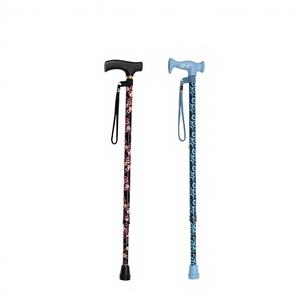 Bastón de Apoyo para Caminar con Punta de Goma y Mango en T Giratorio de 360 Grados, Diseño de Alta Gama, para Personas Mayores, con Capacidad de 250 Libras y Uso en Exteriores - Product Image 1