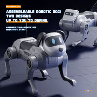 Fabrikpreis 2,4GHz RC Roboter Elektrischer DIY Zusammengebauter Plastik-Mechanischer Hund Pädagogisches Ferngesteuertes Gehspielzeug für Kinder