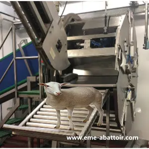 Machine d'abattage de mouton de technologie moderne, machines de traitement de la viande pour abattage de mouton de chèvre