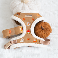 Ensemble de harnais pour chien personnalisé pour l'automne, veste en polaire sherpa douce avec laisse pour chien, harnais de promenade réglable et chaud pour chiots de petite taille
