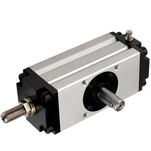 Industrie-Edelstahl-Kleinparker pneumatischer Metall-Fingeraufdruckzylinder Schwingzylinder v