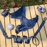 Harnais tactique anti-traction pour chien, réglable, avec poignée, robuste et durable, ensemble laisse et collier pour chien de taille moyenne à grande, avec boucle