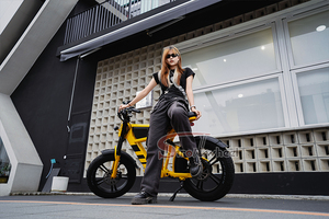 750W 48V <strong>Bicycle</strong> for Men 48v <strong>Bicycle</strong> for Girls <strong>Bicycle</strong> for Women - Product Image 2