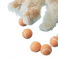 Balle à mâcher en caoutchouc pour chien - Jouet auto-amusant anti-ennui pour Border Collies, Golden Retrievers, Corgis et toutes les races (petites races)