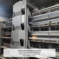 Cages à poulets automatiques galvanisées à chaud équipement de cage à poules pondeuses de type H pour ferme moderne personnalisation du support du poulailler