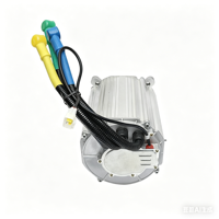 Moteur synchrone à aimant permanent personnalisé en usine, sans balais, PMSM, grande puissance 5,5KW 7,5KW 10KW 15KW 20KW 72V 96V
