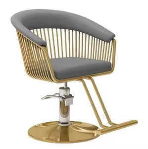 เก้าอี้เสริมสวยยกได้ Zs Modern Salon Furniture สำหรับร้านทำผม ร้านเสริมสวย เก้าอี้ช่างตัดผม เก้าอี้สไตลิสต์ ขาย - Product Image 1