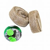 Disques de coco biodégradables de haute qualité pour semis – Compost de coco pour la plantation des graines