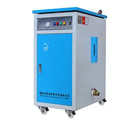 Beiste 36kw 38kw 60kw Electric Steam Generator Boiler For Autoclave For Kettle