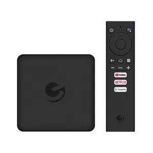 Ematic AGT419 2,4G 5G двойной wifi 4K Netflix Голосовое управление Google Сертифицированный Смарт Android TV box