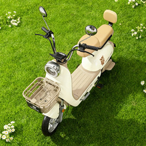 Bicicleta Eléctrica Urbana para Adultos con Marco de Acero, Motor de 3 Velocidades en la Rueda Trasera, Batería de Plomo-Ácido, 48V 350W 14 Pulgadas, sin Escobillas, Venta al Por Mayor - Product Image 4