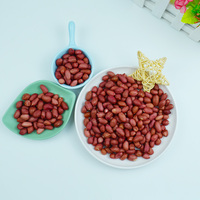 Arachides rouges de qualité supérieure, prix imbattable, arachides brutes sans coquille, haute qualité
