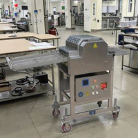 Machine à attendrir la viande de poulet en acier inoxydable Machine à attendrir le steak de bœuf et le porc
