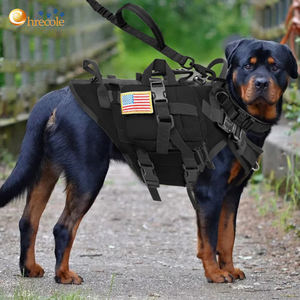 Correa de Entrenamiento para Perros Resistente y Sólida, Antitirones, con Absorción de Impactos, para Razas Medianas y Grandes, Cinturón de Seguridad para Automóvil, Asas Acolchadas, Collares para Mascotas - Product Image 6