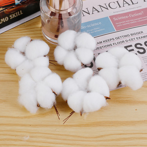Tiges de coton artificielles, tons naturels purs, fleurs moelleuses, décoration minimaliste <span class=keywords><strong>pour</strong></span> la maison, arrangement de table de mariage, fournitures de bricolage - Product Image 5