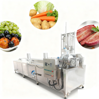 Hoogrenderende 304 Roestvrijstalen Frites En Aardappelchips Blancheermachine Voor Groenten En Fruit Prijs