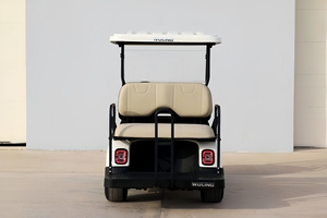 Carrito de Golf Eléctrico Wuling R15 2021, Cuatro Ruedas, Batería de Litio, Motor Único, Tracción Delantera - Product Image 2