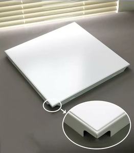 פרמיה מודרני מודרני <span class=keywords><strong>60x60</strong></span> 60 x60 מלבן עמיד למים אטב לוחות תקרה חיצוני - Product Image 2