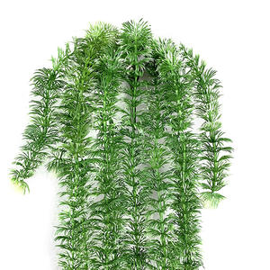 Nouvelle arrivée salon mur plafond décor en plastique <span class=keywords><strong>faux</strong></span> <span class=keywords><strong>lierre</strong></span> Anti Uv et ignifuge artificiel pleureur herbe vignes suspendus plantes - Product Image 3