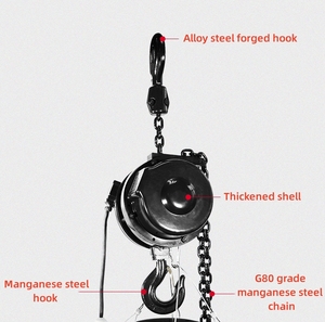 Servo <strong>Hoist</strong> Constant Torque Output <strong>Hoist</strong> Permanent Magnet Synchronous Motor <strong>Hoist</strong> Noiseless Electrical Chain <strong>Hoist</strong> - Product Image 3